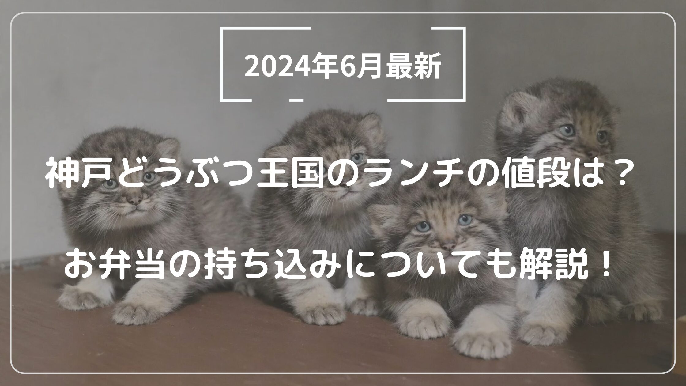 【2024最新版】神戸どうぶつ王国のランチの値段は？お弁当の持ち込みについても解説！